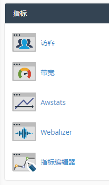 于指标区域点击 “Webalizer”。
