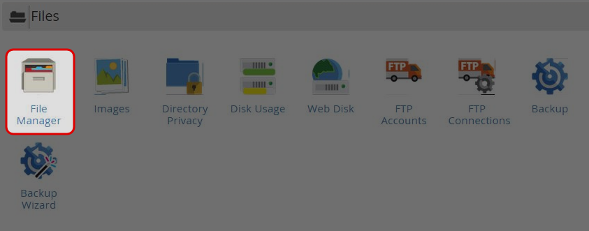 Click on “File Manager” icon at File menu.

