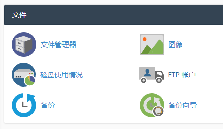 于档案区域点击 “FTP 帐户”。
