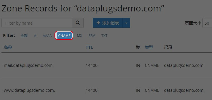 於Filter 选取 “CNAME”。 