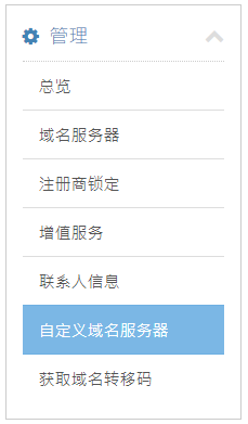 点击 “自定义域名服务器”。
点击 “自定义域名服务器”。