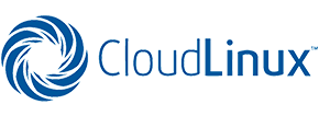 IT Procurement Services